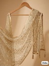 Tew Soft Net Beautiful Zari Sequence Embroidery Work Dupatta Wholesalers In Delhi